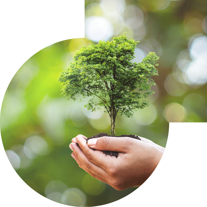 關懷人類、文化、環境與社會